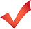 Key feature check icon